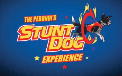 The Perondi’s Stunt Dog Experience